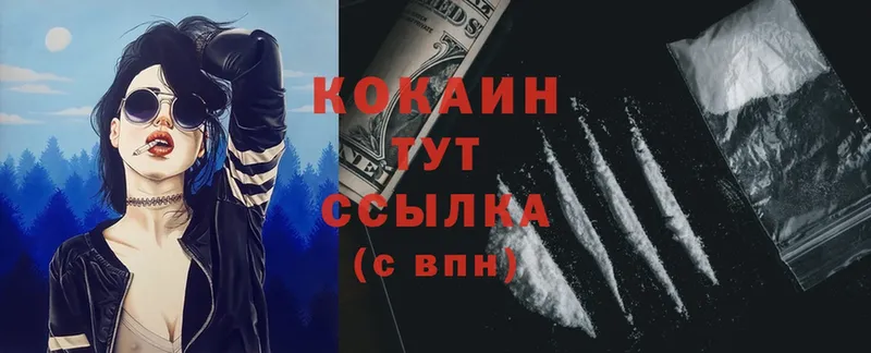 где купить наркотик  Саров  COCAIN FishScale 